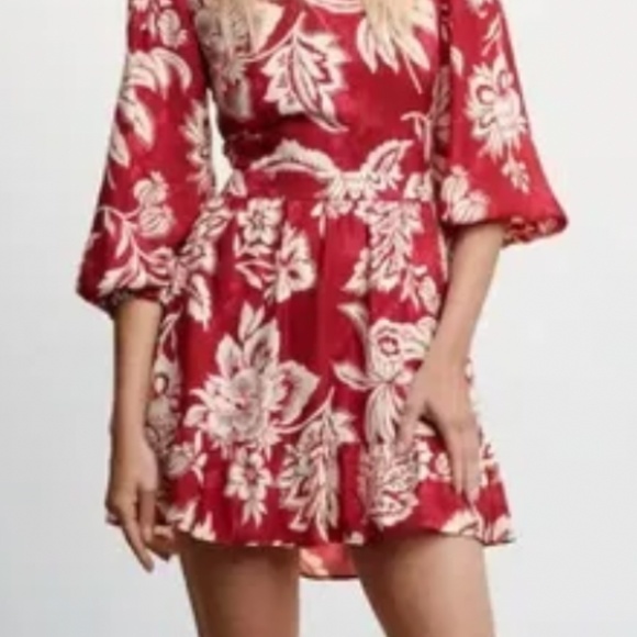 Mango - Picture 3 of 4